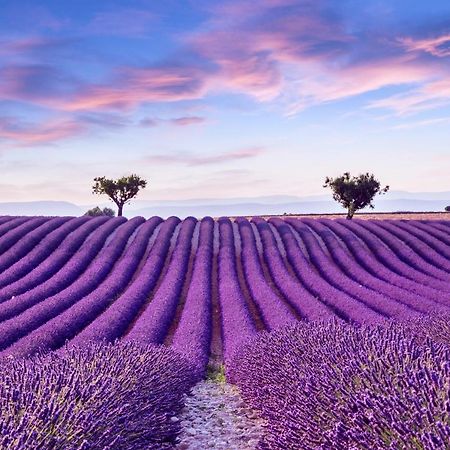 La Maison Des Collines Allemagne-en-Provence Exteriör bild