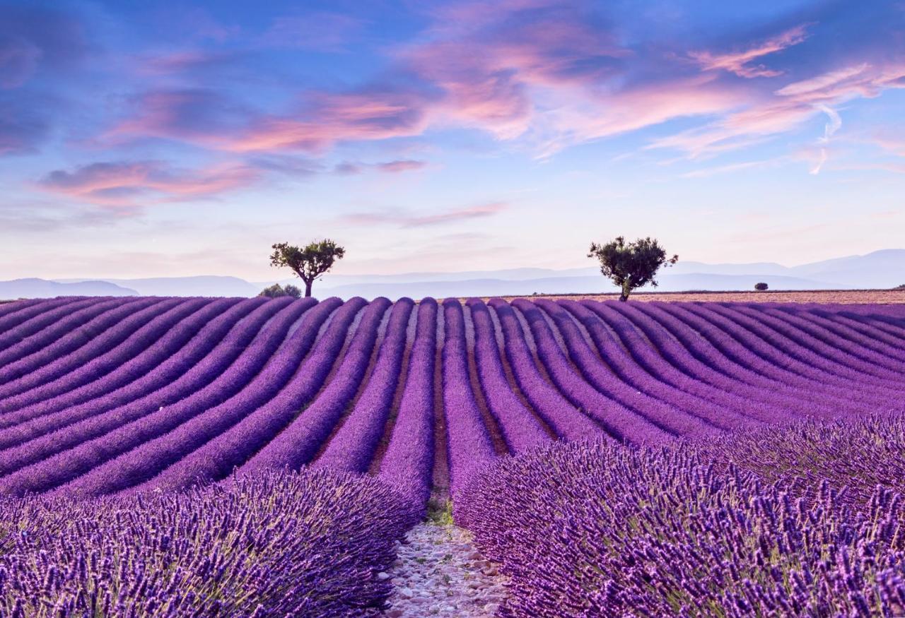 La Maison Des Collines Allemagne-en-Provence Exteriör bild
