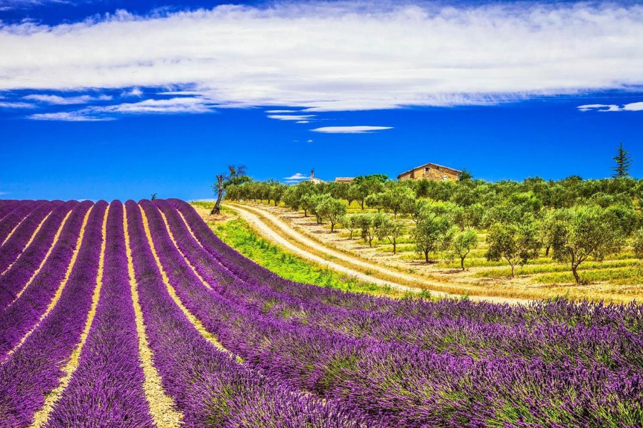 La Maison Des Collines Allemagne-en-Provence Exteriör bild