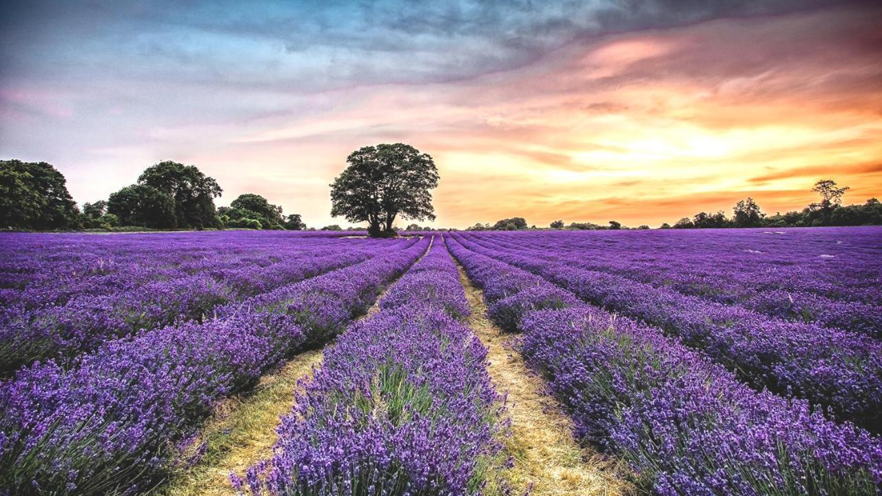 La Maison Des Collines Allemagne-en-Provence Exteriör bild