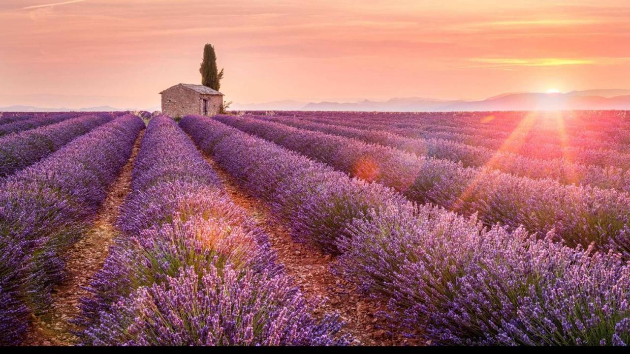 La Maison Des Collines Allemagne-en-Provence Exteriör bild